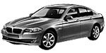 BMW F10 P1E3D Fault Code